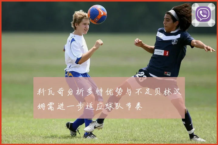 科瓦奇分析多特优势与不足贝林汉姆需进一步适应球队节奏